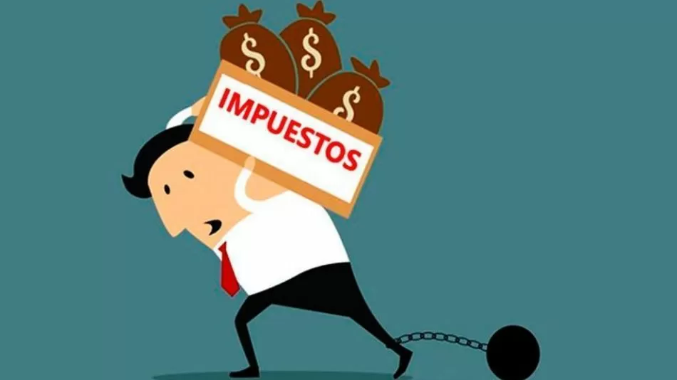 Novedades 30/10/2025